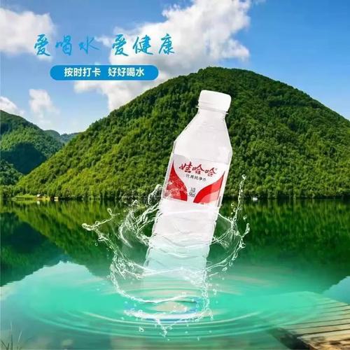 国货娃哈哈596ml纯净水12瓶提装 实验会议饮用的高性价比之选